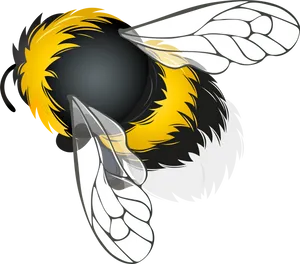Abstract Bee Graphic Art PNG image