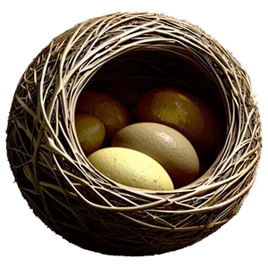 Abstract Bird Nest PNG Nqk37 PNG