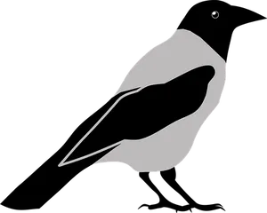 Abstract Bird Silhouette Art.jpg