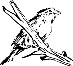 Abstract_ Black_and_ White_ Texture