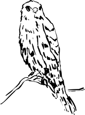 Abstract_ Black_ Background_with_ White_ Spots