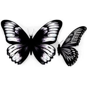 Abstract Black Butterfly Png 42 PNG image