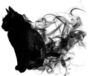 Abstract Black Cat Artwork PNG