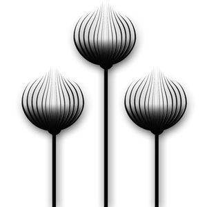 Abstract Black Floral Design