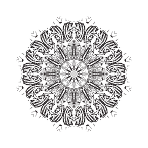 Abstract_ Black_ Mandala_ Pattern
