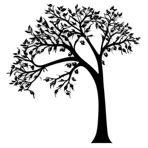 Abstract Black Tree With Birds PNG 8