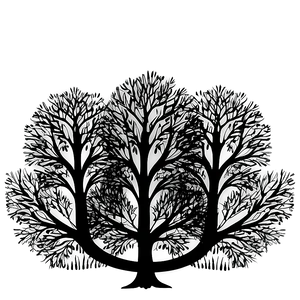 Abstract Black Trees Design Png 73 PNG image