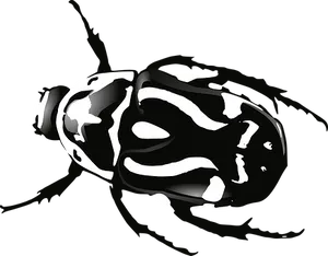 Abstract Blackand White Beetle Illustration