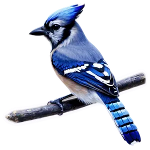 Abstract Blue Jay Image PNG Hkn74 PNG