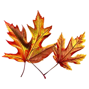 Abstract Blurry Fallen Leaves PNG Osc PNG