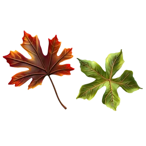 Abstract Blurry Fallen Leaves PNG Qff51