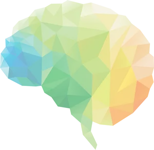 Abstract Brain Illustration PNG