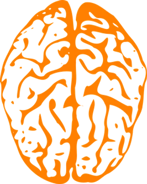 Abstract Brain Illustration PNG image