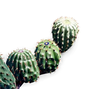 Abstract Cactus PNG Eeu