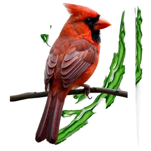 Abstract Cardinal Design Png 59 PNG image