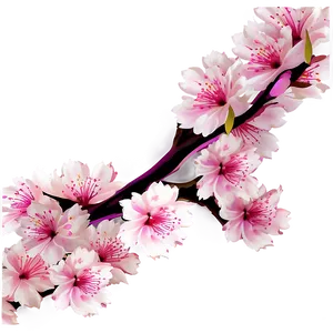 Abstract Cherry Blossom Background PNG 1