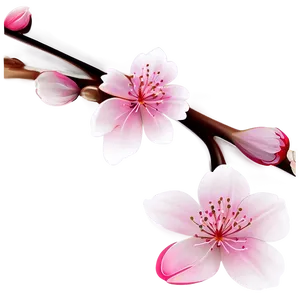 Abstract Cherry Blossom Background PNG 43