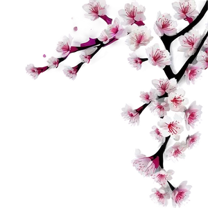 Abstract Cherry Blossom Background PNG 92