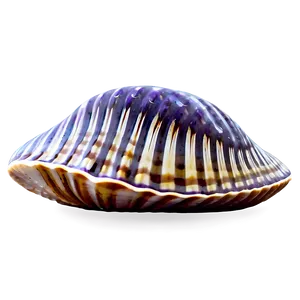 Abstract Clam Design PNG Ahf