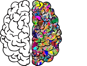 Abstract Colorful Brain Art PNG image