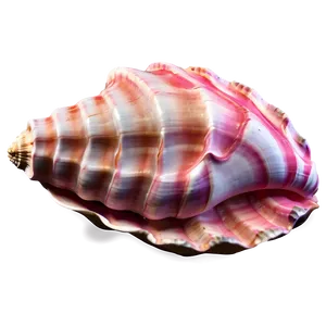 Abstract Conch Shell PNG 46