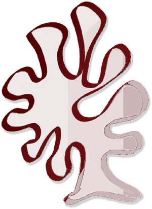 Abstract Coral Graphic PNG image