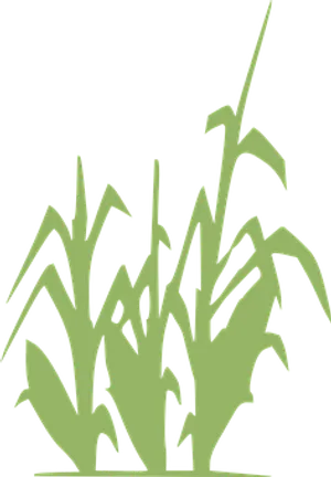 Abstract Corn Stalks Silhouette PNG image