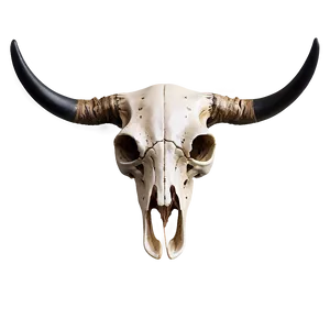 Abstract Cow Skull PNG 06132024