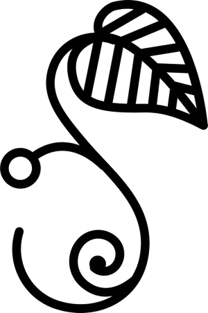 Abstract Curve Design PNG
