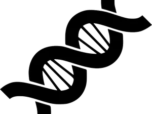 Abstract D N A Double Helix