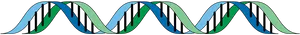Abstract D N A Double Helix Illustration