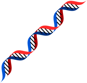 Abstract D N A Double Helix Illustration