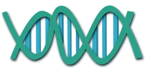 Abstract D N A Double Helix Illustration PNG