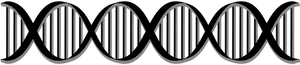 Abstract D N A Double Helix Illustration PNG image