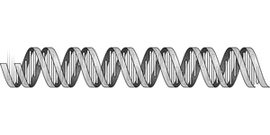 Abstract D N A Double Helix Illustration