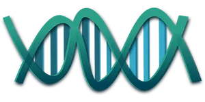 Abstract D N A Double Helix Illustration PNG image