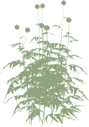 Abstract Dandelion Silhouette