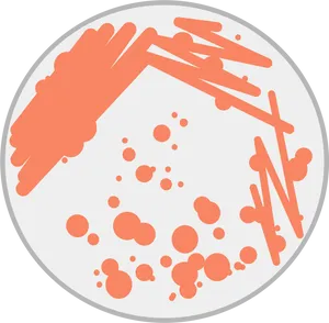 Abstract Dish Splatter Pattern