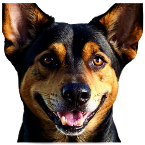 Abstract Dog Head PNG 06212024