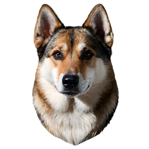 Abstract Dog Head PNG 06212024