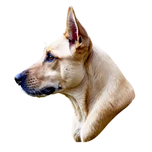 Abstract Dog Head PNG 37