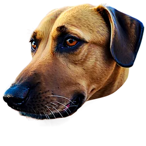 Abstract Dog Head PNG 41 PNG