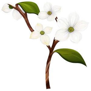 Abstract Dogwood Artwork PNG Vko27