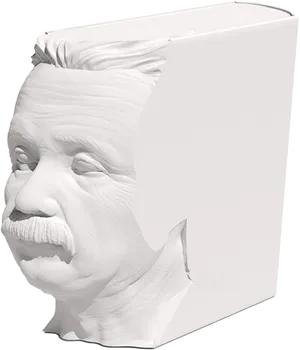 Abstract Einstein Bust Sculpture PNG