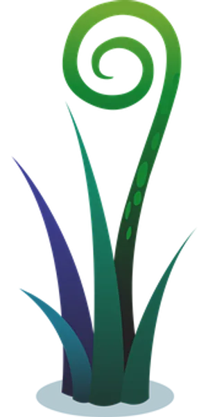 Abstract Fern Spiral Graphic