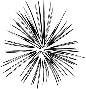 Abstract Firework Explosion Graphic PNG image