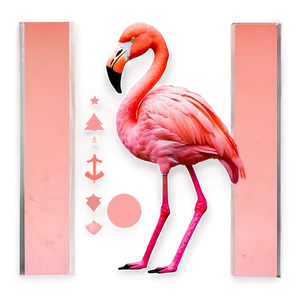 Abstract Flamingo Collage PNG Qlc PNG