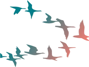 Abstract Flockof Birds Silhouettes