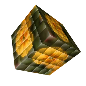 Abstract Floral Cube Illusion PNG image