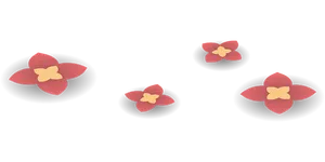 Abstract Floral Designon Black Background